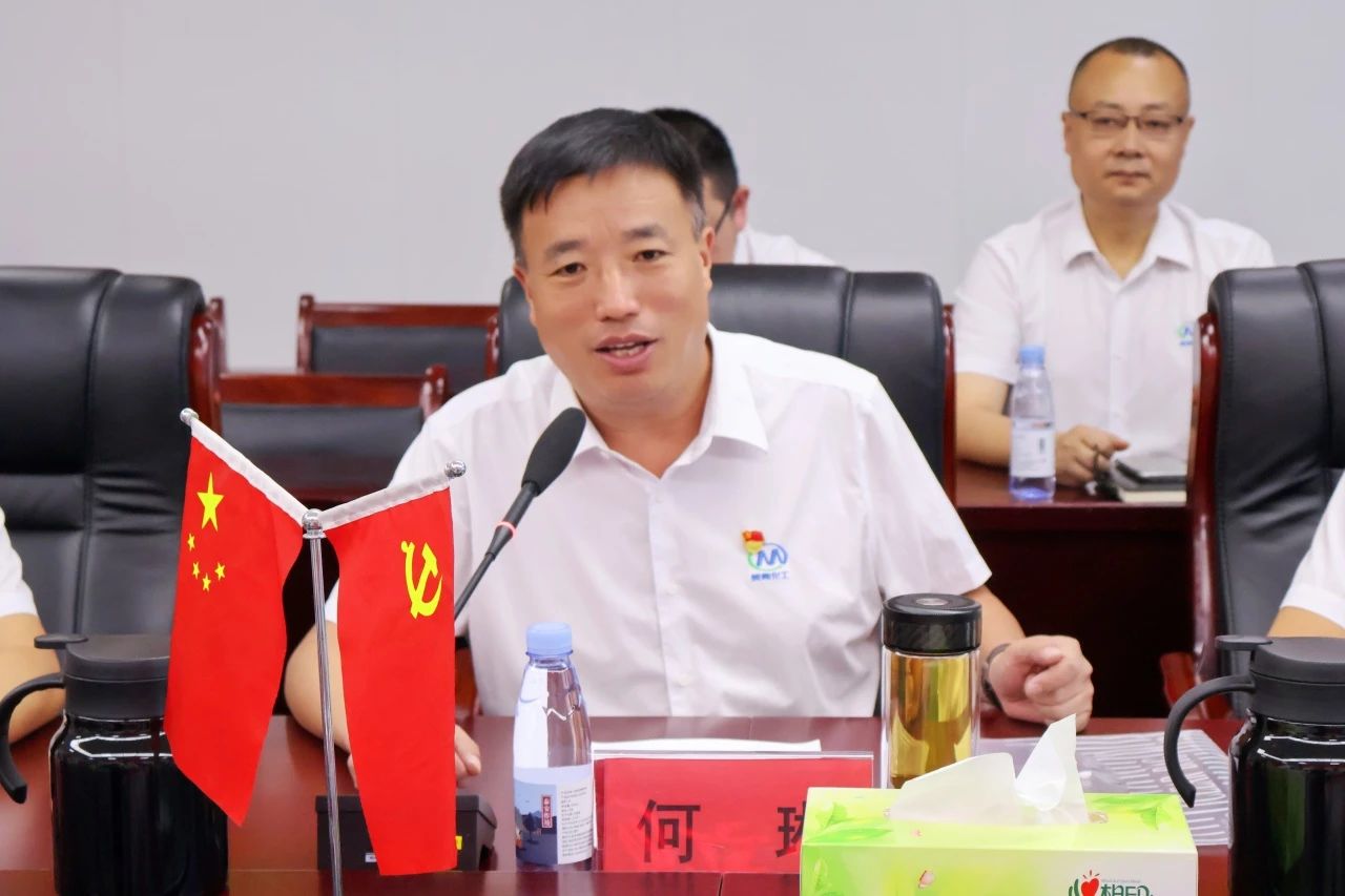 文加武常委深入美丰集团调研，强调抓住新质生产力发展契机，推动企业迈向高质量发展新阶段